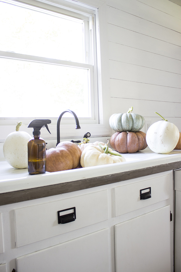 How To Care For Heirloom Pumpkins: When They Are Ripe To Pick & How To Keep Them From Rotting