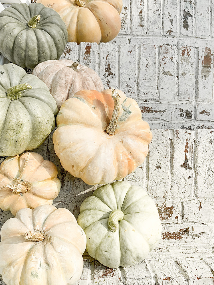 You Can Never Have Too Many Pumpkins On Your Front Porch- Fall White Farmhouse Autumn Tour