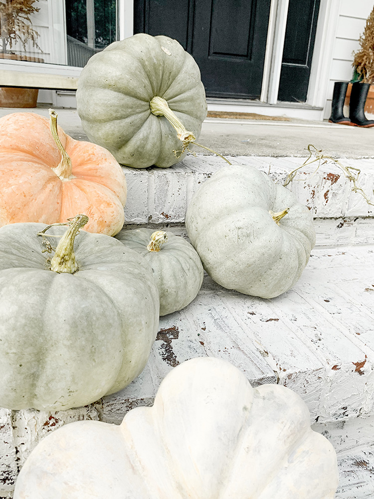 You Can Never Have Too Many Pumpkins On Your Front Porch- Fall White Farmhouse Autumn Tour