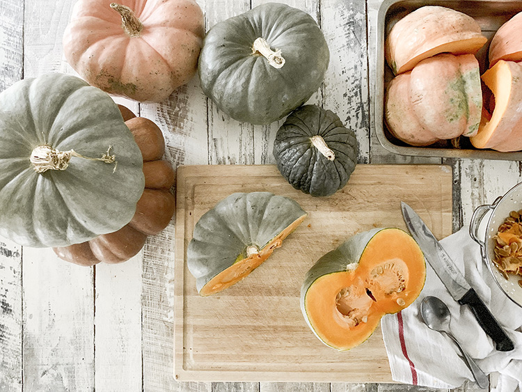 How to Harvest & Save Seeds From Your Pumpkins (Store Bought, or Home Grown!) To Plant In Next Year's Garden