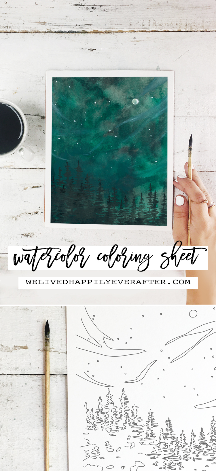 Forest Nightscape Painting - Perfect For A DIY Girls Painting Party Night!