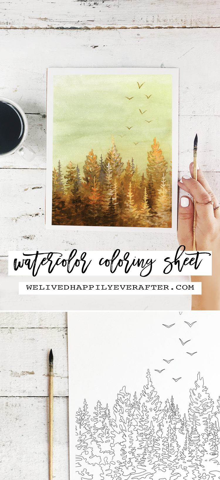 Autumn Sunset Watercolor Painting - Perfect For A DIY Girls Painting Party Night!