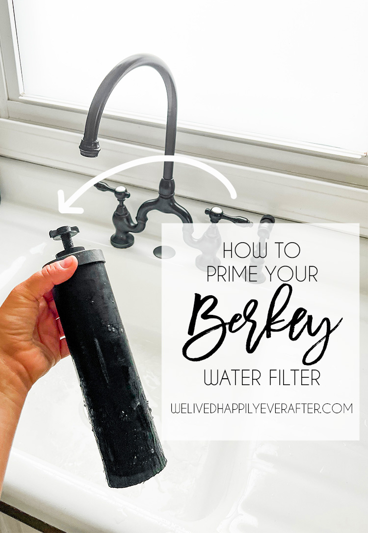 Setting Up A Berkey Water Filter - Priming The Filters + The Red Food Dye Test